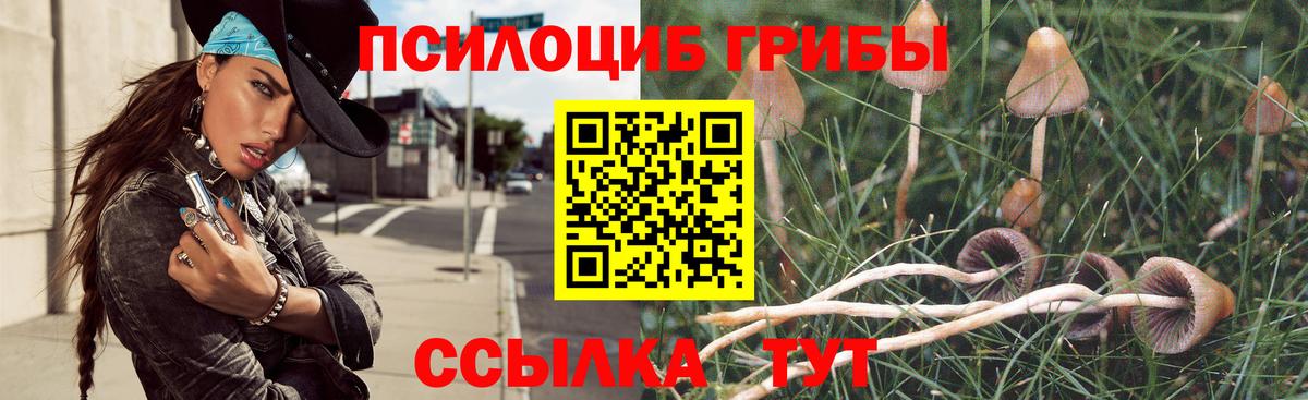 Псилоцибиновые грибы мицелий Качканар